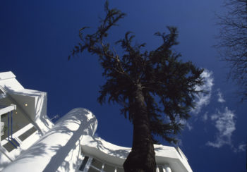 Clubhouse_015.jpg