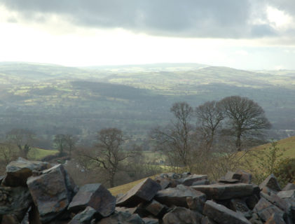 DSC_0891.jpg