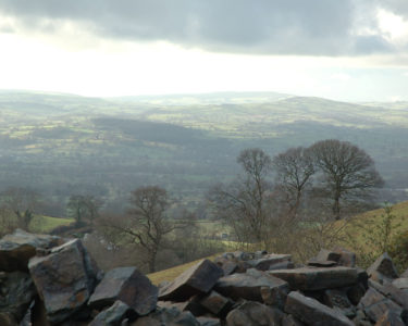DSC_0891.jpg